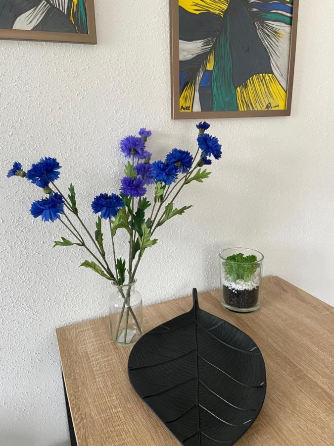 Chez Orely Lejlighed Horbourg Eksteriør billede